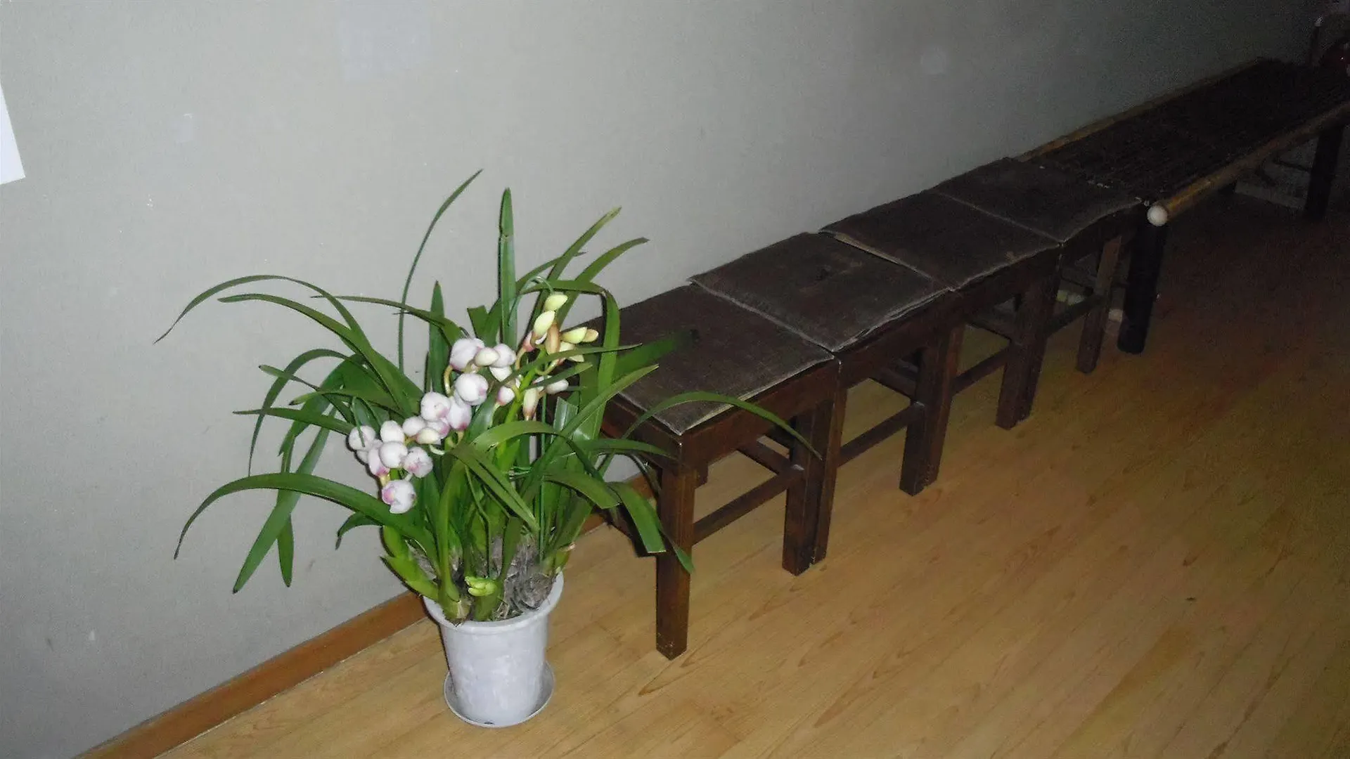Ohto Ryokan 교토